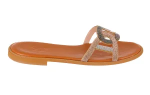 Gl Mauritius