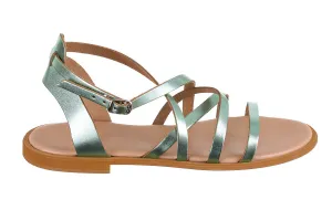Gl Okinawa Green