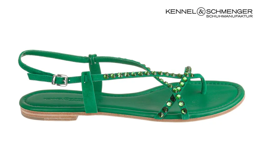 Ken Delicacy Green